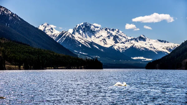 Sněhu limitován vrchol Mount Rohr na jižním konci jezera Josef — Stock fotografie