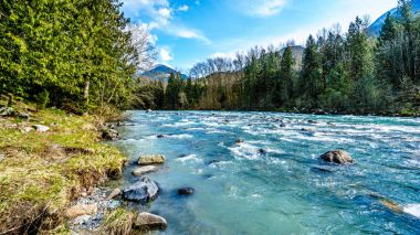 The fast flowing crystal clear waters of the Chilliwack River during early spring run off clipart