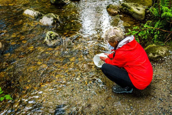 Woman releasing Chum fry into Kanaka Creek at the fish hatchery in Kanaka Creek Regional Park — Stock Photo, Image