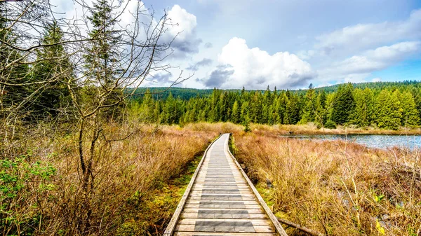 Boardwalk Rolley Gölü Rolley Gölü Provincial park boyunca 