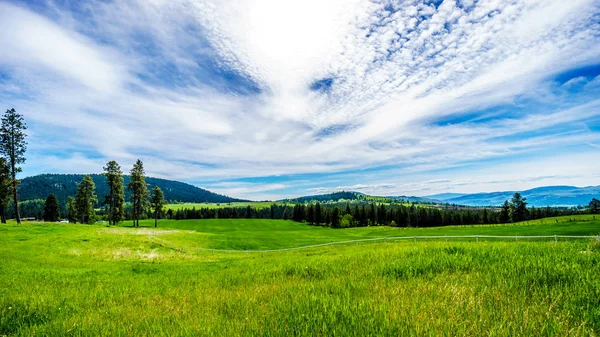 Otlaklar Sun Peaks Road Shuswap Highlands