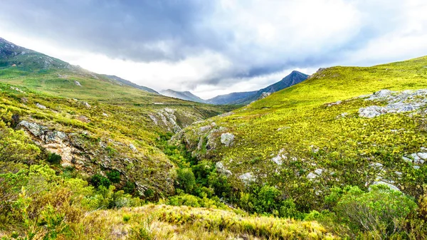 Franschhoek Pass içinde Batı Cape province, Güney Afrika