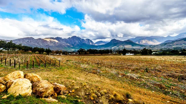 Franschhoek Vadisi Western Cape, Güney Afrika için birçok onun üzüm bağları ile 