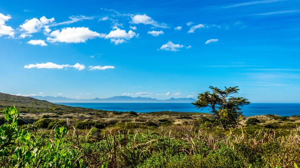 Cape of Good Hope Nature Reserve near the southern tip of the Cape Peninsula