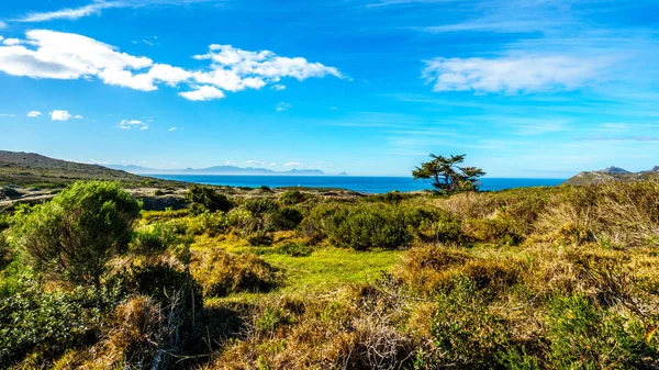 Cape, iyi umut doğa rezerv Cape Yarımadası'nın Güney ucuna yakın — Stok fotoğraf