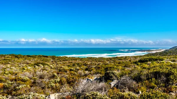 Cape of Good Hope ve Platboom Beach iyi Cape umut doğa rezerv arasında Atlantik Okyanusu — Stok fotoğraf