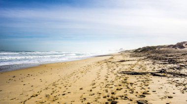 Güzel bir plaj ve dunes Bloubergstrand Western Cape Atlantik tarafında