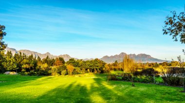 Simonsberg ve üzüm bağları Stellenbosch şarap bölgesinde çevreleyen vahşi-Holland dağ silsilesi