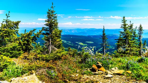 Senderismo entre las flores silvestres en las altas montañas alpinas cerca de la aldea Sun Peaks — Foto de Stock