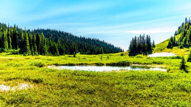 Küçük bir göl yüksek Alp Sun Peaks köyü yakınlarında