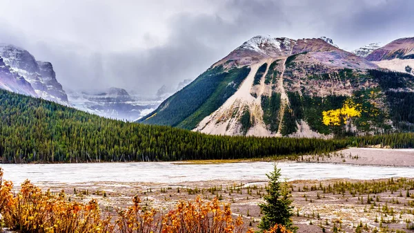 The beginning of the Athabasca River near its origin at the Athabasca Glacier and the Columbia Icefields — Stock Photo, Image