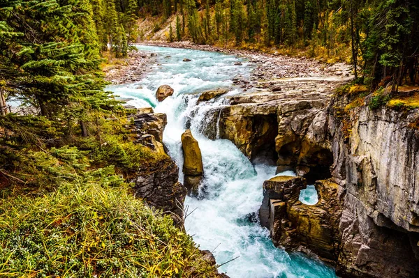 Burzliwe wody rzeki Sunwapta jak wali w dół Sunwapta Falls — Zdjęcie stockowe