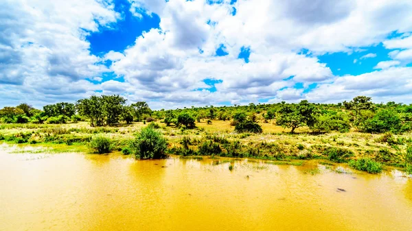 Paysage Long Rivière Olifants Près Kruger Park Phalaborwa Frontière Entre — Photo