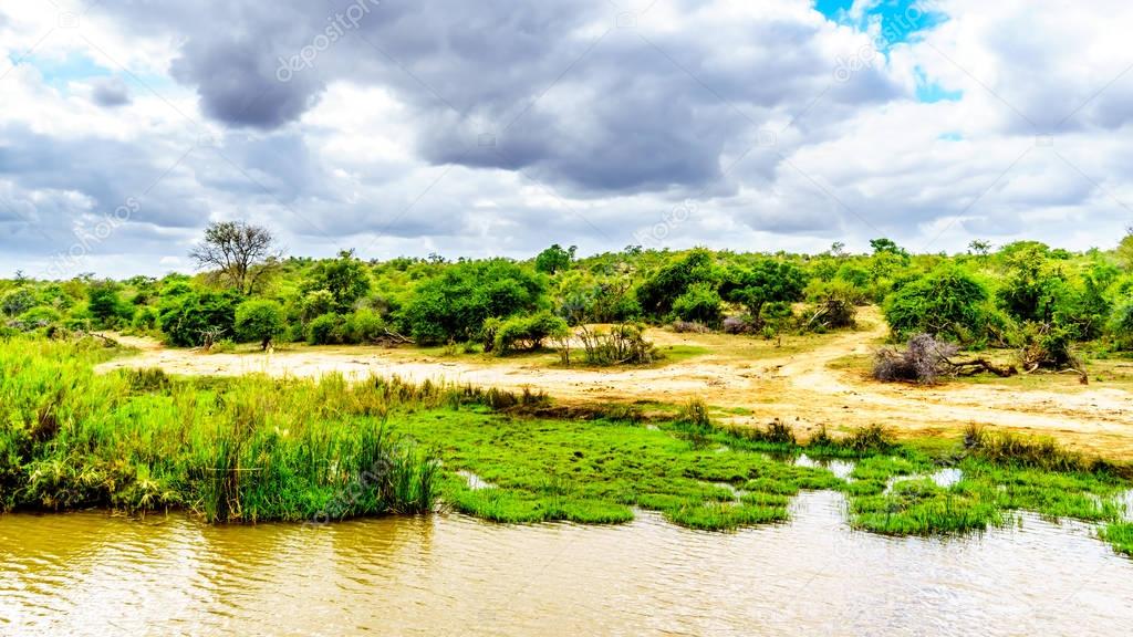 Landscape along the Olifants River near Kruger Park and Phalaborwa on the border between Limpopo and Mpumalanga Provinces in South Africa