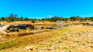 Olifants Nehri yakınında Phalaborwa Kruger Milli Parkı'nda Güney Afrika çevresinde peyzaj