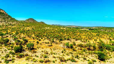 Mopane ağaçlar Kruger Park, Güney Afrika büyük Game Reserve norther kısmında Olifants Nehri yakınında çevrili Ge-Selati Nehri'nin havadan görünümü