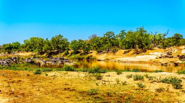 Olifants Nehri yakınında Phalaborwa Kruger Milli Parkı'nda Güney Afrika çevresinde peyzaj