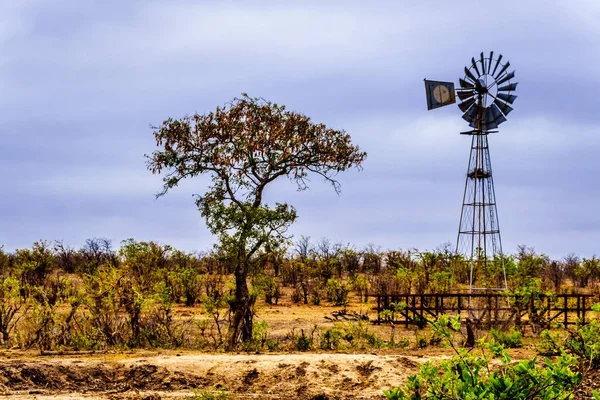 Windmühle Einem Wasserloch Dürregeplagten Nördlichen Teil Des Kruger Nationalparks Südafrika — Stockfoto