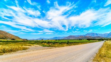 Üzüm bağları ve bahar çevreleyen dağların Güney Afrika'da Western Cape Boland şarap bölgesinde