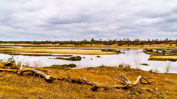 Fiume Olifant Quasi Asciutto Siccità Hanno Colpito Terra Nel Kruger — Foto Stock
