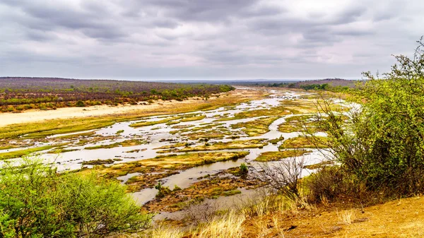 Rivière Olifant Presque Sèche Dans Parc National Kruger Afrique Sud — Photo