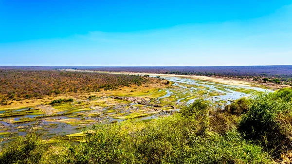 Rivière Olifant Presque Sèche Dans Parc National Kruger Afrique Sud — Photo