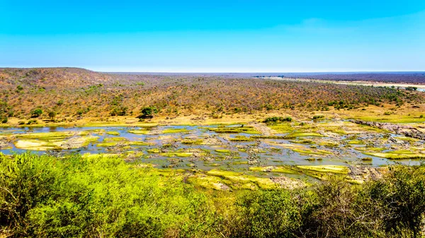 Rivière Olifant Presque Sèche Dans Parc National Kruger Afrique Sud — Photo