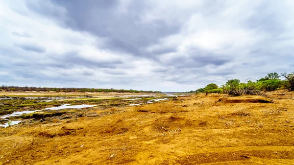 Rivière Olifants Presque Sèche Fin Saison Sèche Dans Parc National — Photo