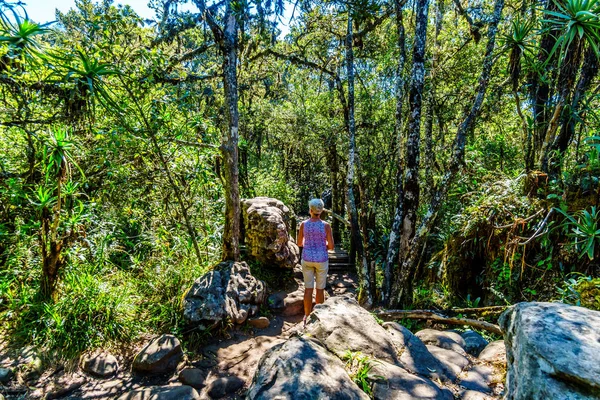 Femme Âgée Sur Pont Bois Sur Sentier Randonnée Fenêtre Dieu — Photo