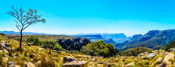 Panorama View Mountains Blyde River Canyon Nature Reserve Panorama Route — Stock Photo, Image