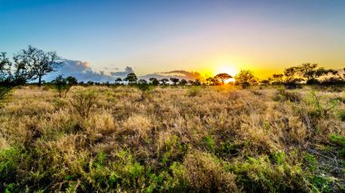 Merkez Kruger Milli Parkı'nda Güney Afrika savana ve çim alanlar üzerinde gündoğumu