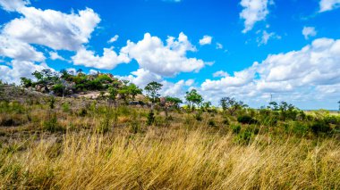 Rock formation in the savanna of central Kruger National Park in South Africa clipart