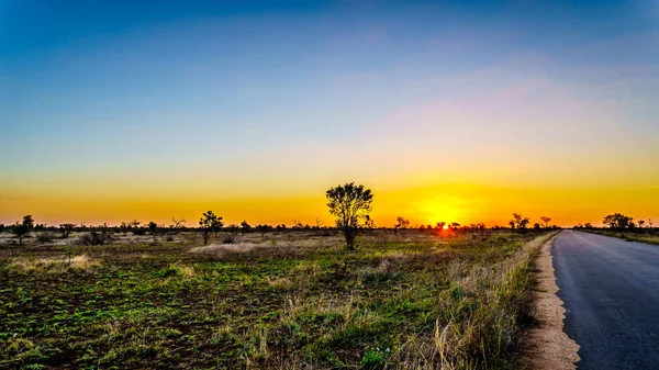 在南非克鲁格国家公园的大草原和草地上的日出 — 图库照片
