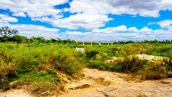 Casi Seco Río Sabie Centro Del Parque Nacional Kruger Sudáfrica — Foto de Stock