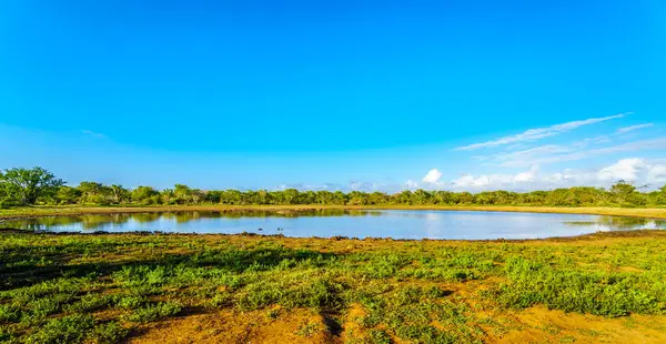 Foro Irrigazione Kumanadam Nel Kruger National Park Sud Africa — Foto Stock
