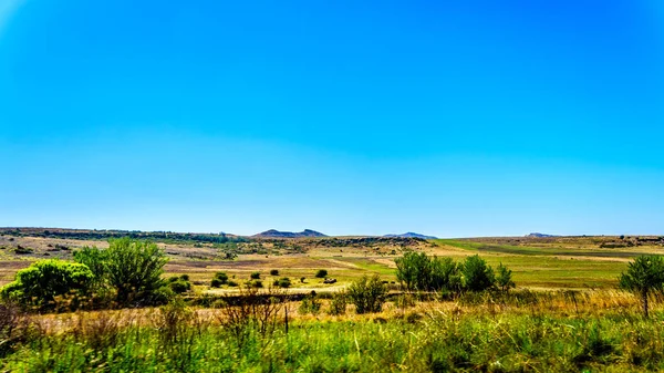 Krajobraz Żyznych Pól Uprawnych Wzdłuż Autostrady R26 Prowincji Wolne Państwo — Zdjęcie stockowe