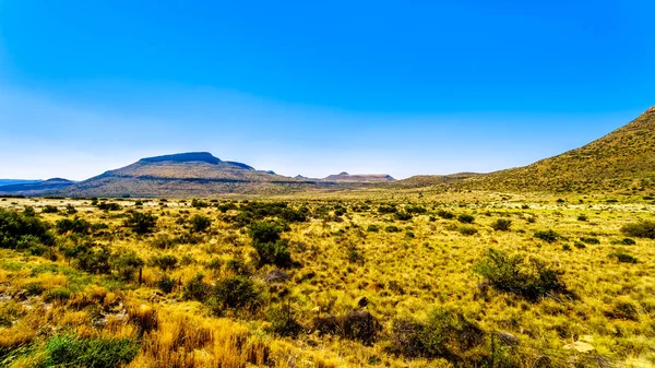 青い空の下で南アフリカ共和国のフリーステイト州 東ケープ州地方で半砂漠カルー地域の無限の開けた風景 — ストック写真