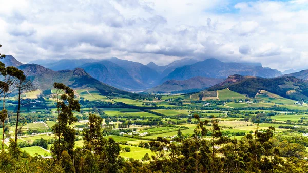 Franschhoek Valley Western Cape Province South Africa Its Many Vineyards — Stock Photo, Image
