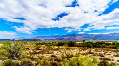 Küçük Karoo bölge ufukta görkemli Grootswartberg Dağları ile Güney Afrika'nın Batı Cape Eyaleti