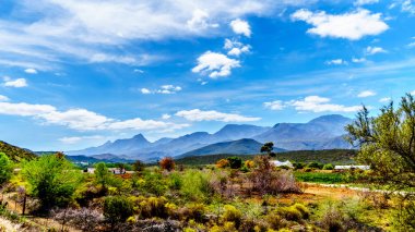 Küçük Karoo bölge ufukta görkemli Grootswartberg Dağları ile Güney Afrika'nın Batı Cape Eyaleti