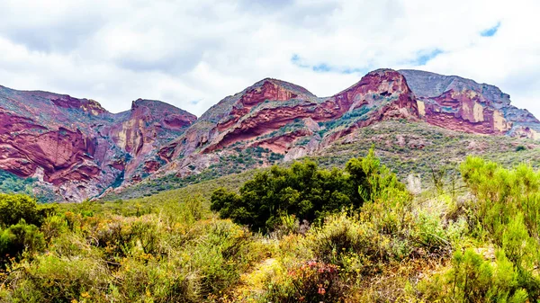リトルカルー盆地地域南アフリカ共和国の西ケープ州での赤砂岩の山 — ストック写真