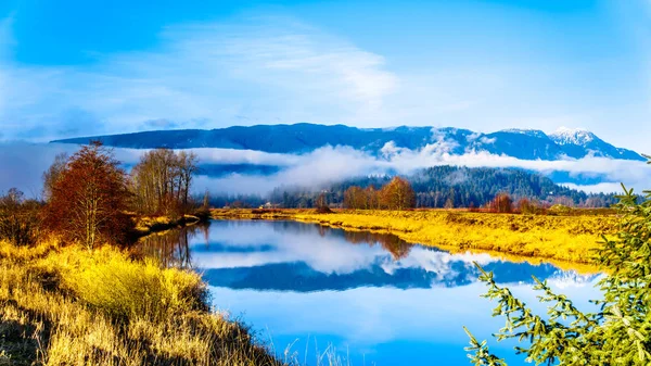 Reflections Yellow Brown Fall Grass Colors Smooth Surface Alouette River — Fotografia de Stock