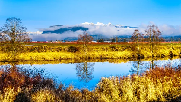 Reflections Yellow Brown Fall Grass Colors Smooth Surface Alouette River — Stock Photo, Image