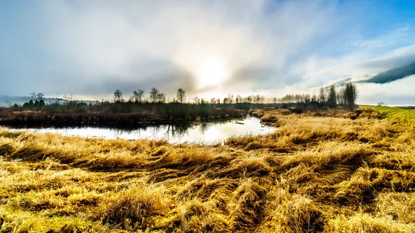 Nebel Hängt Über Dem Pitt River Und Dem Wasser Des — Stockfoto