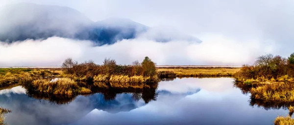 Niebla Que Cuelga Sobre Río Pitt Las Aguas Del Pantano —  Fotos de Stock