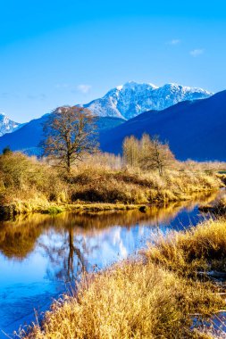 Yansımalar kar Golden kulak dağ ve kenar tepe'nin Pitt-Strand Marsh Maple Ridge, British Columbia, Kanada yakındaki Fraser Vadisi'nde kaplı açık kış gününde