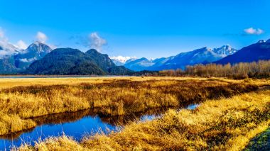Sahil açık kış gününde Pitt-Strand Marsh Maple Ridge, British Columbia, Kanada yakındaki Fraser Vadisi'nde Pitt Gölü çevreleyen dağlar kar kaplı