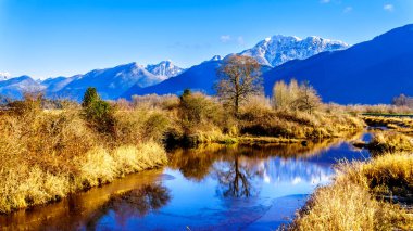 Yansımalar kar Golden kulak dağ ve kenar tepe'nin Pitt-Strand Marsh Maple Ridge, British Columbia, Kanada yakındaki Fraser Vadisi'nde kaplı açık kış gününde