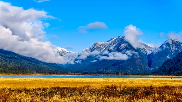 Les Montagnes Côtières Enneigées Entourant Marais Pitt Addington Lac Pitt — Photo