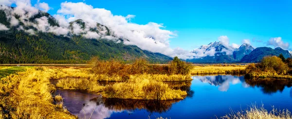 Reflections Snow Covered Coast Mountains Waters Pitt Addington Marsh Fraser — Fotografia de Stock